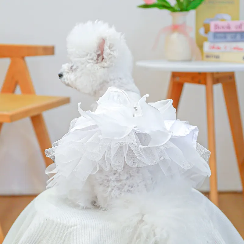 Petcircle Pet Clothing-2