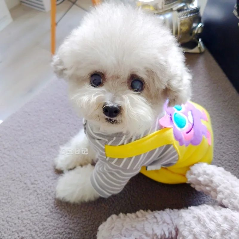 Petcircle Pet Clothing-1