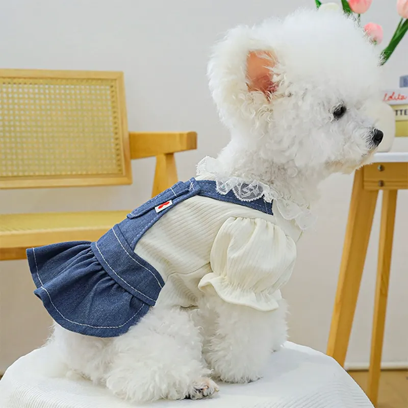 Petcircle Pet Clothing-1