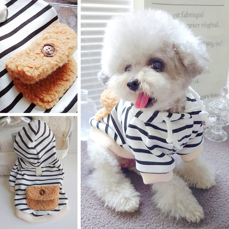 Petcircle Pet Clothing-1