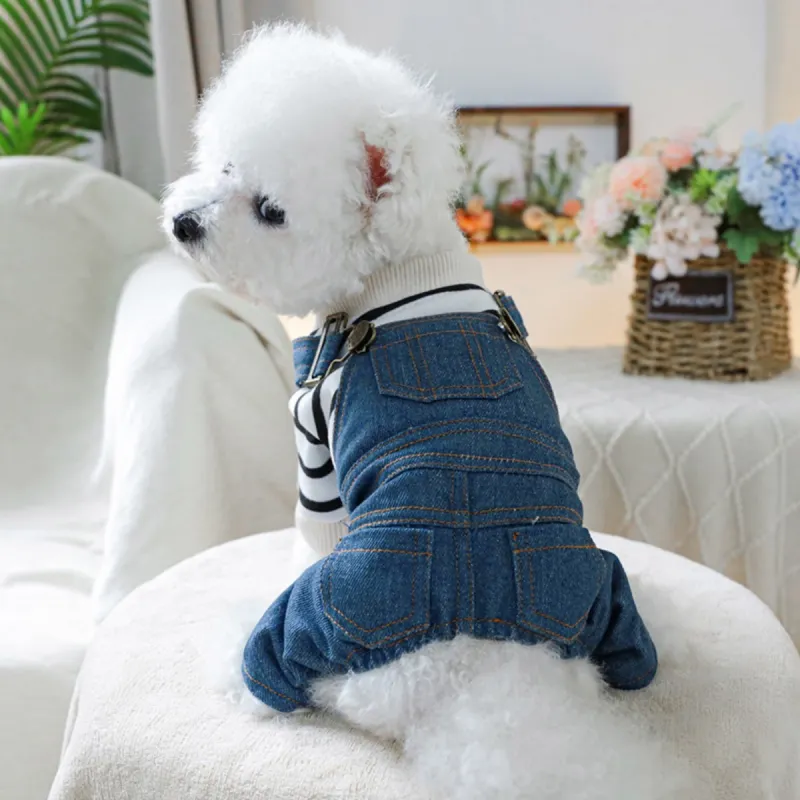 Petcircle Pet Clothing-1