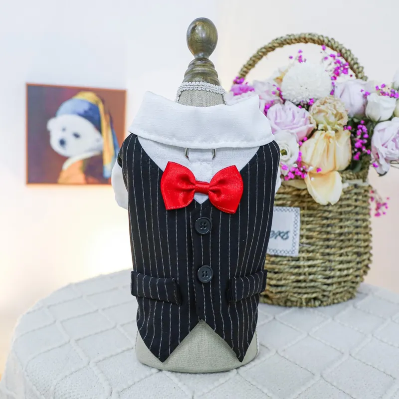 Petcircle Pet Clothing-5