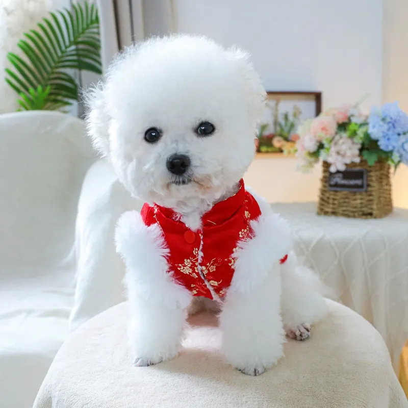Petcircle Pet Clothing-4