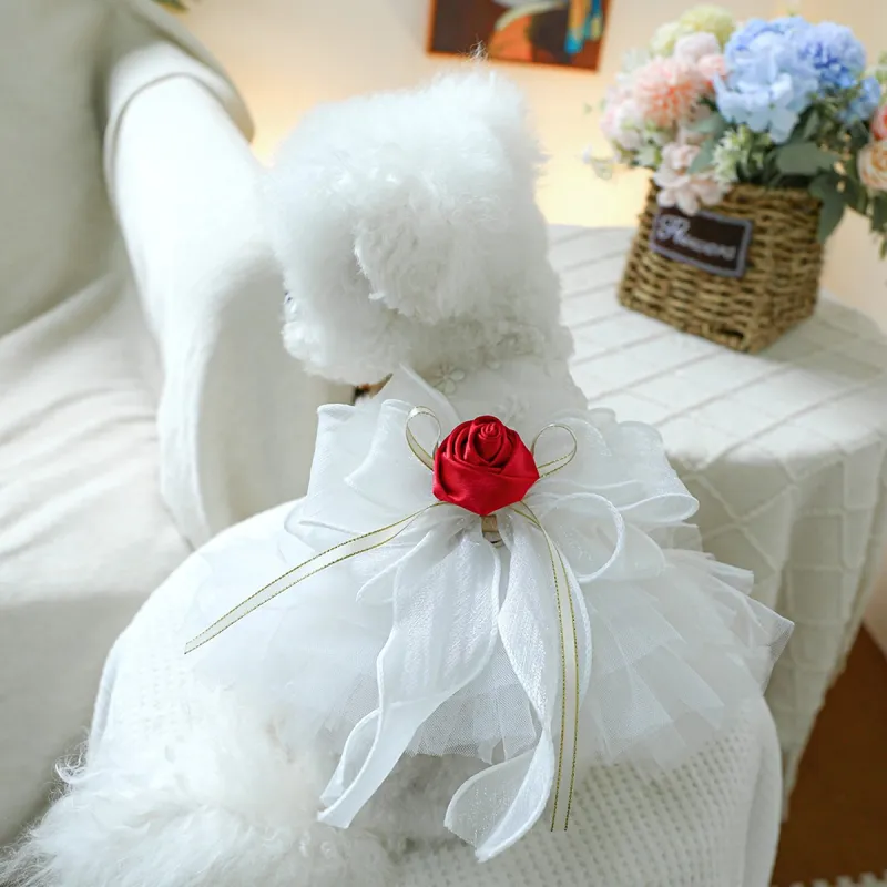 Petcircle Pet Clothing-1