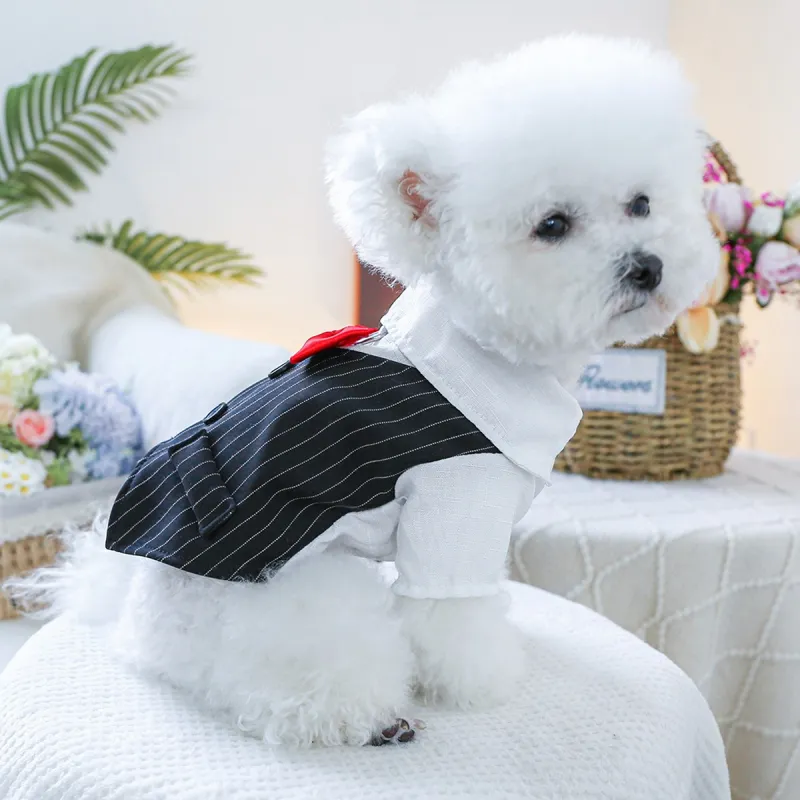 Petcircle Pet Clothing-2