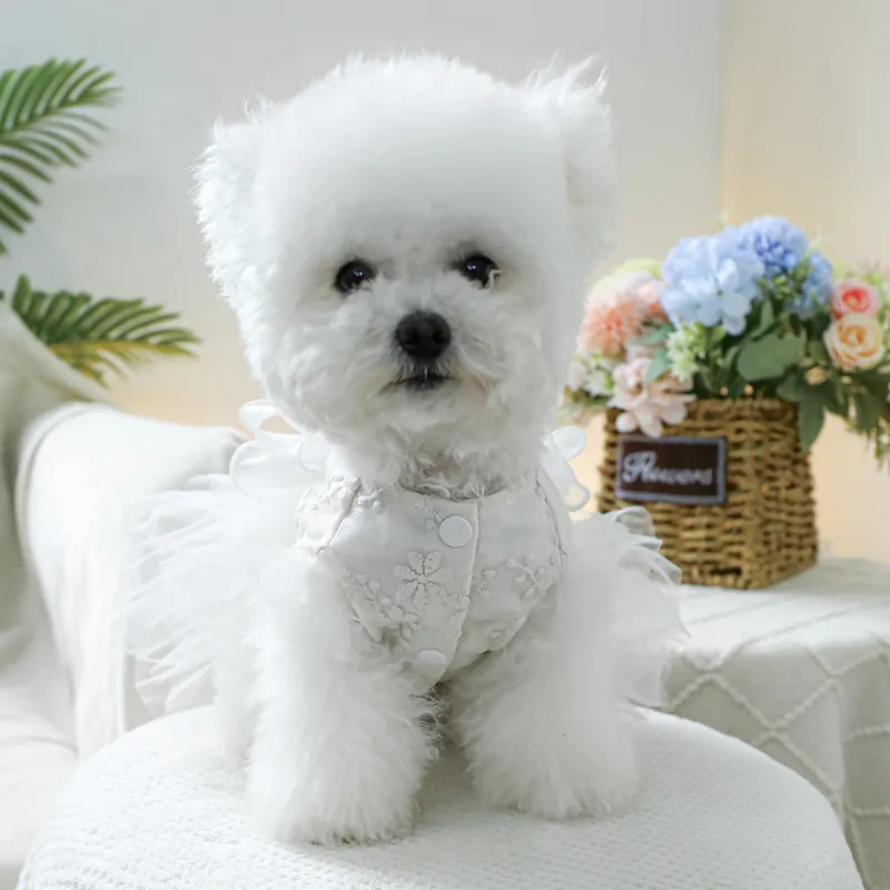 Petcircle Pet Clothing-3