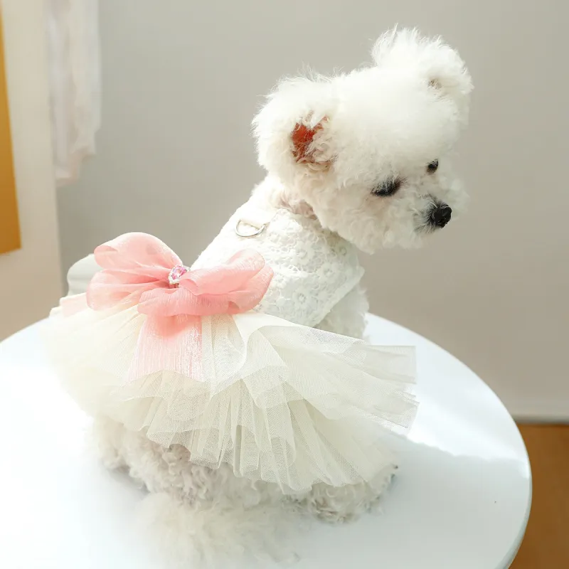 Petcircle Pet Clothing-1