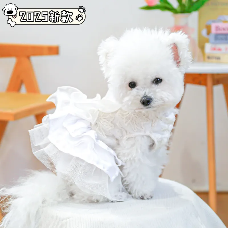 Petcircle Pet Clothing-1