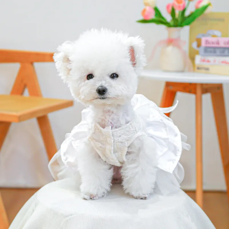Petcircle Pet Clothing-3