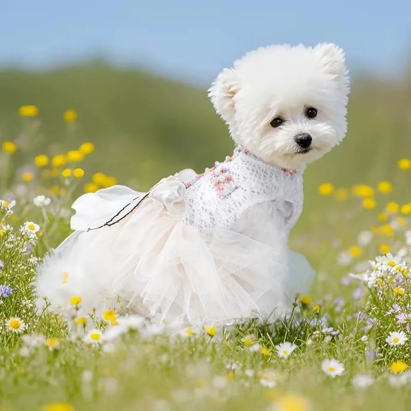 Petcircle Pet Clothing-3