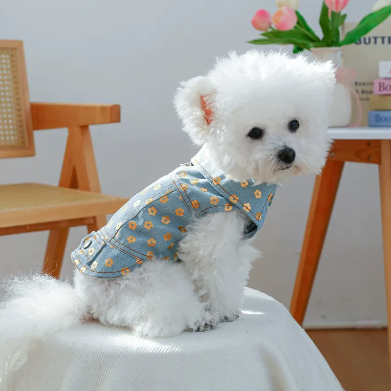 Petcircle 2025 Spring Summer Puppy Costume-2