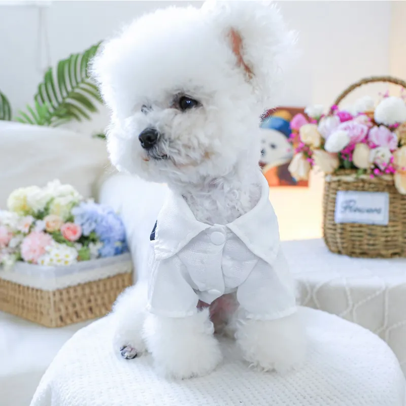 Petcircle Pet Clothing-3