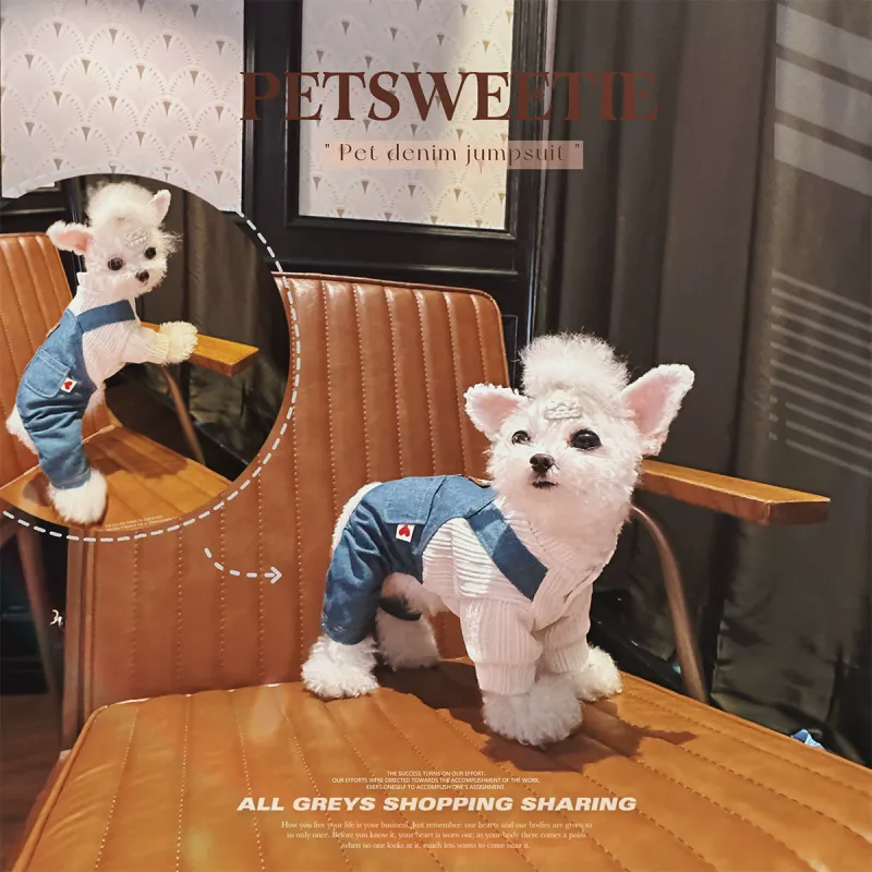 Petcircle Pet Clothing-1
