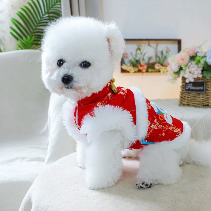 Petcircle Pet Clothing-3