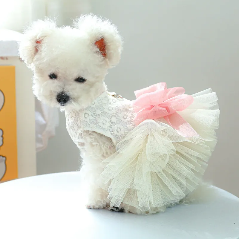 Petcircle Pet Clothing-3