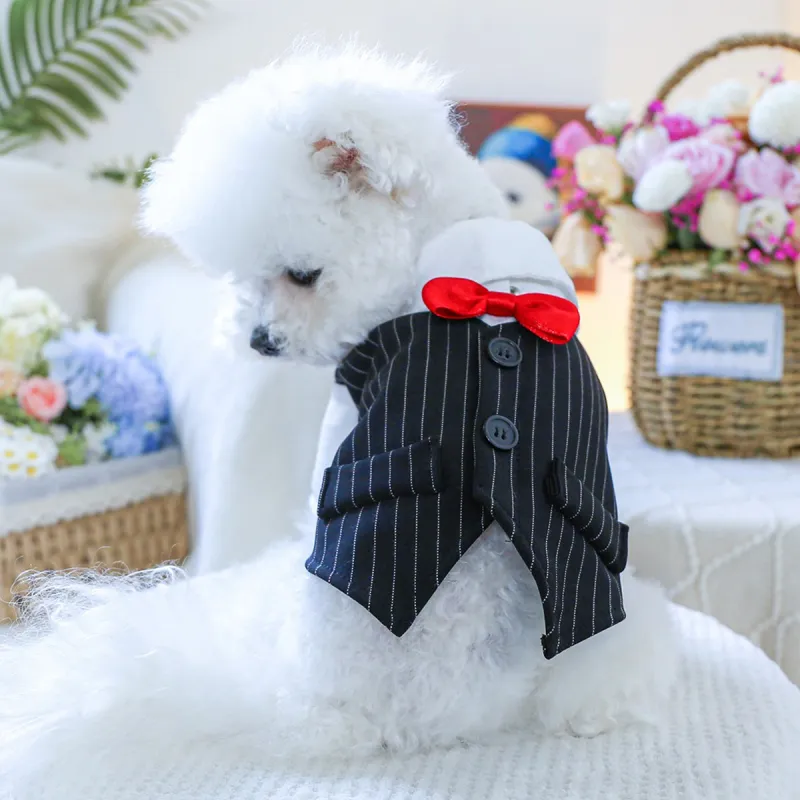 Petcircle Pet Clothing-1