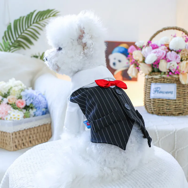 Petcircle Pet Clothing-4