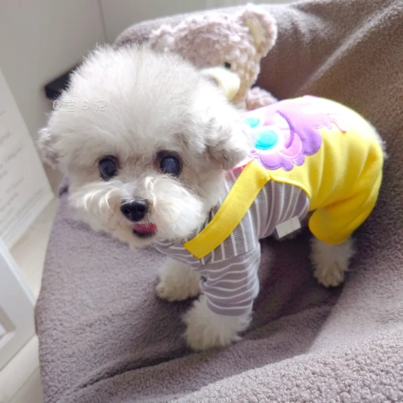 Petcircle Pet Clothing-2