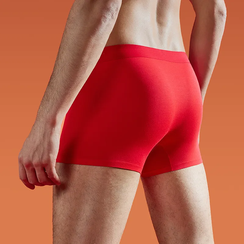 Cheekkiss Underwear Gift Boxes Men's 2 Pack-3