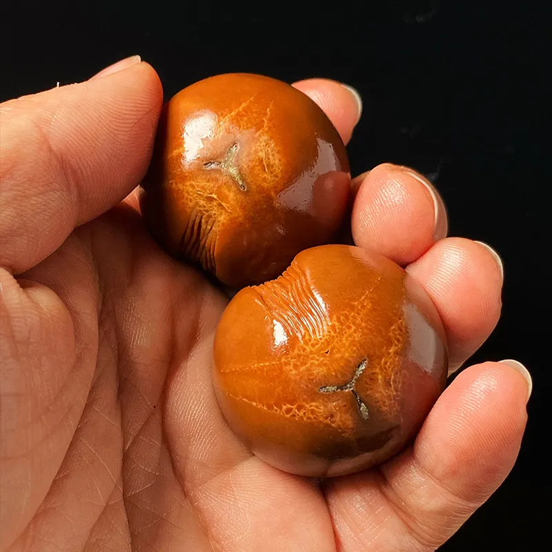 MUSHIFEN Olive Pit Collectible Unisex-4