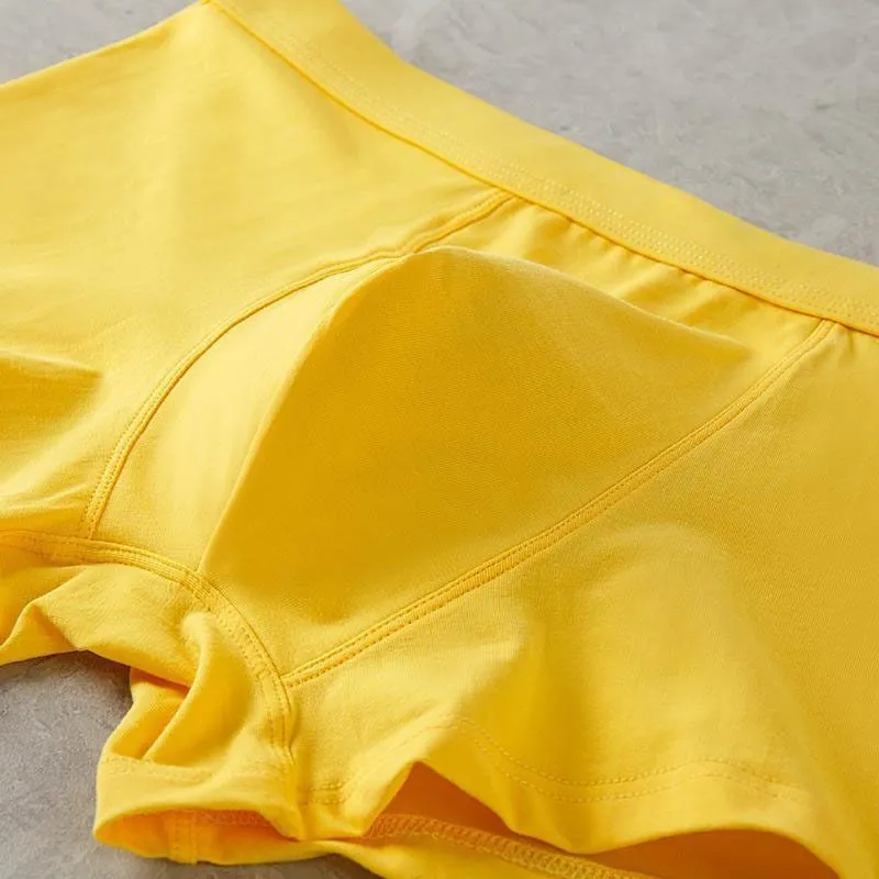 Lan Miao Underpants Men's 3 Pack-5