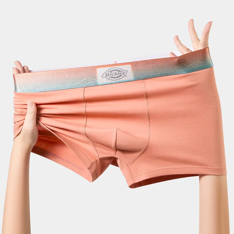 Dickies Underpants Men's Gift Box Combination-42