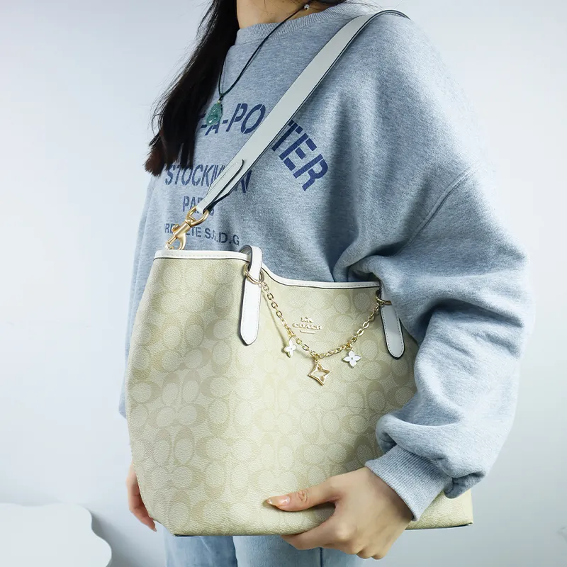 Metal Bag Chain Shoulder Strap Women's Gold-2