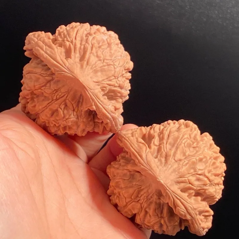 TANGSHU Walnut Fine Handicraft Regular Collectible Unisex-7
