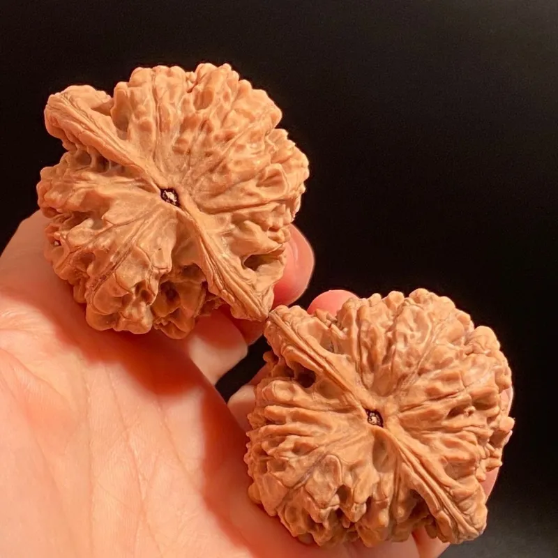 TANGSHU Walnut Fine Handicraft Regular Collectible Unisex-8