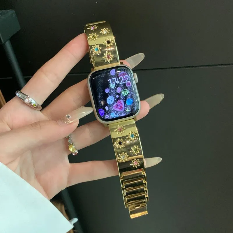 PULAISI Watch Bands Apple Compatibility 220mm Metal-12