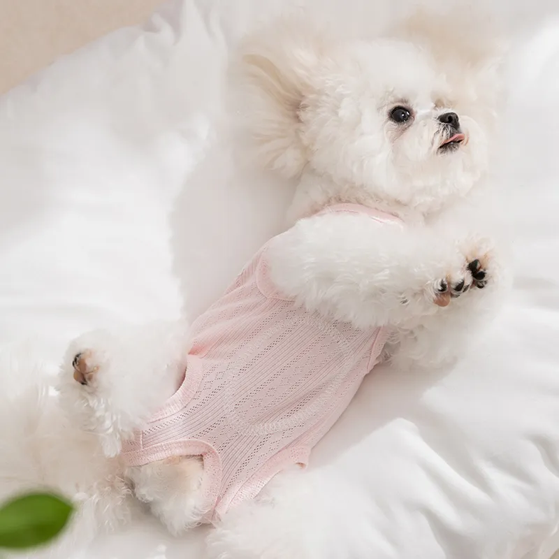 Hippie dogs Pet Clothing-1