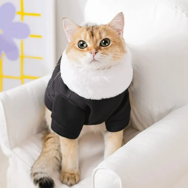 Hippie dogs Pet Clothing-2