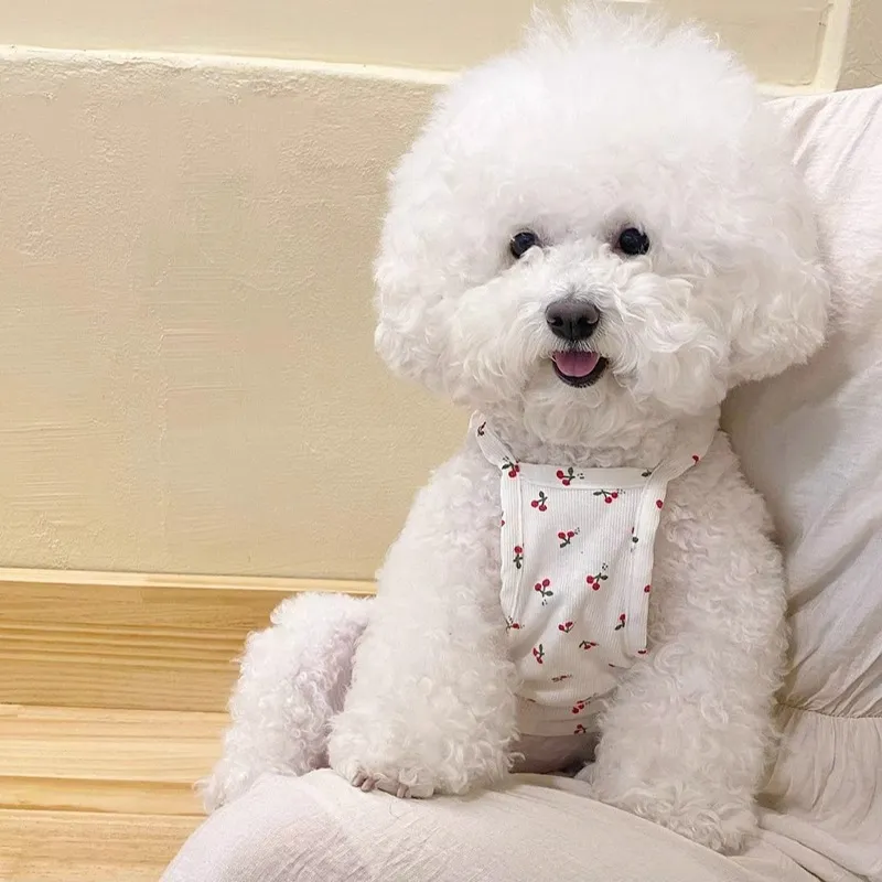 Hippie dogs Pet Clothing-2