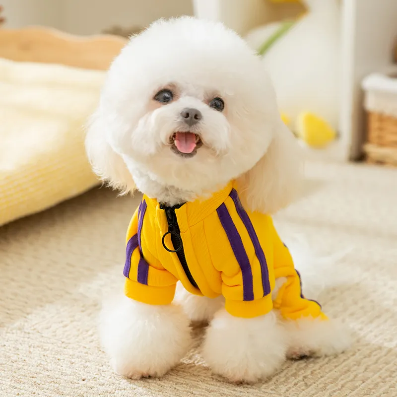 Hippie dogs Pet Clothing-2