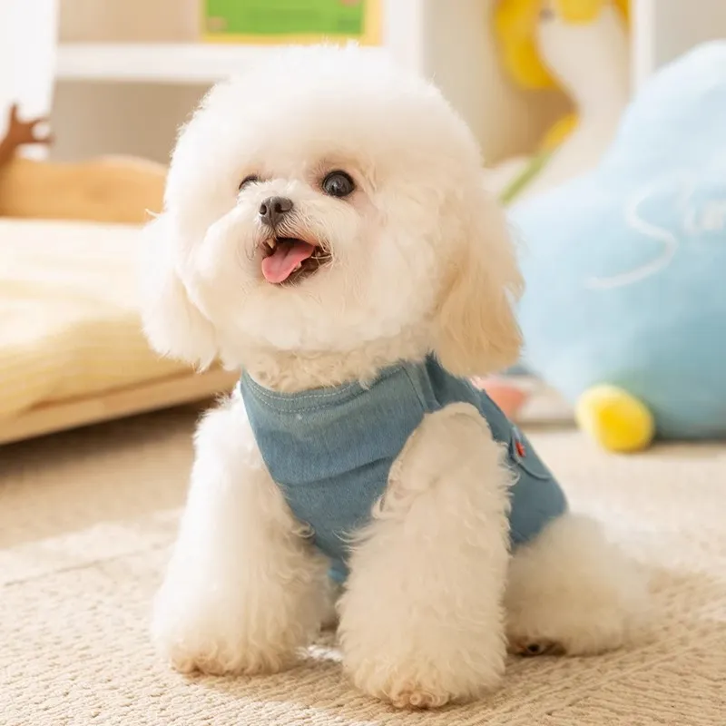 Hippie dogs Pet Clothing-2