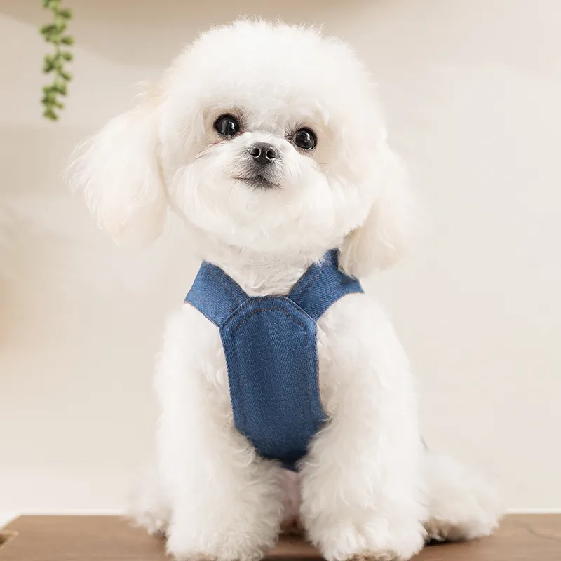 Hippie dogs Pet Clothing-2