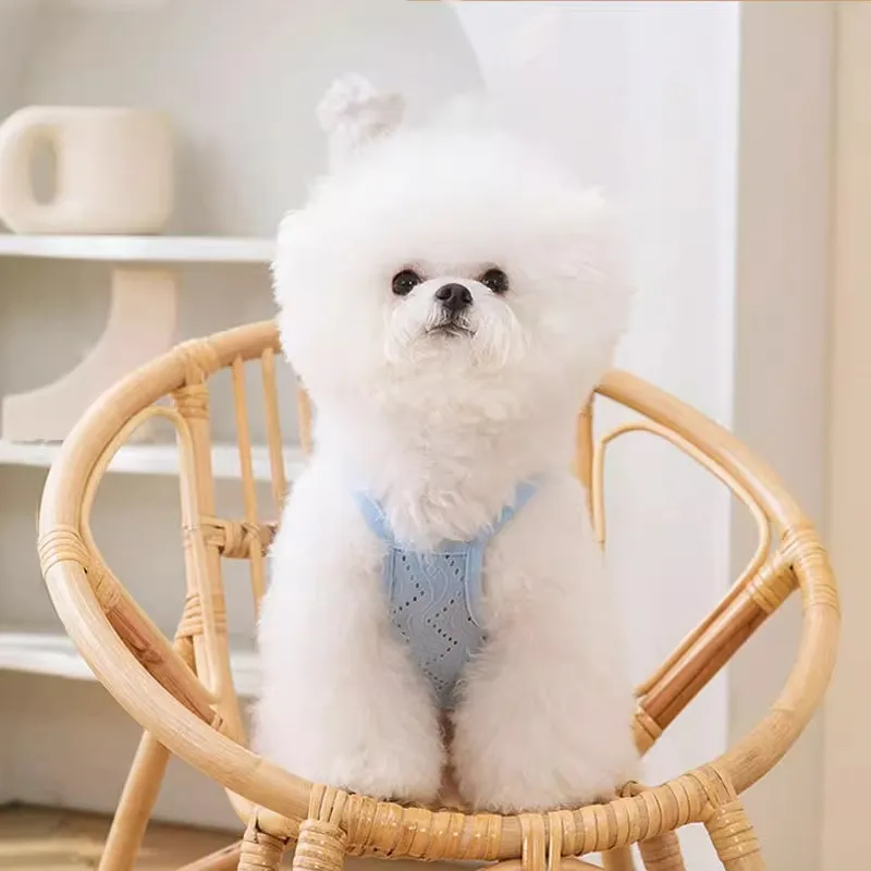 Hippie dogs Pet Clothing-2