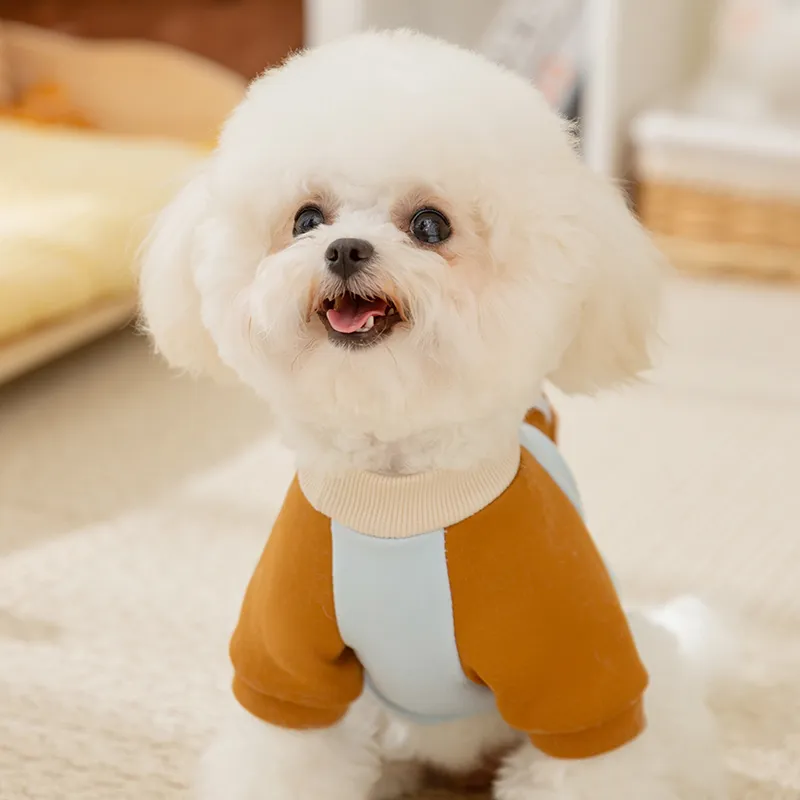 Hippie dogs Pet Clothing-2