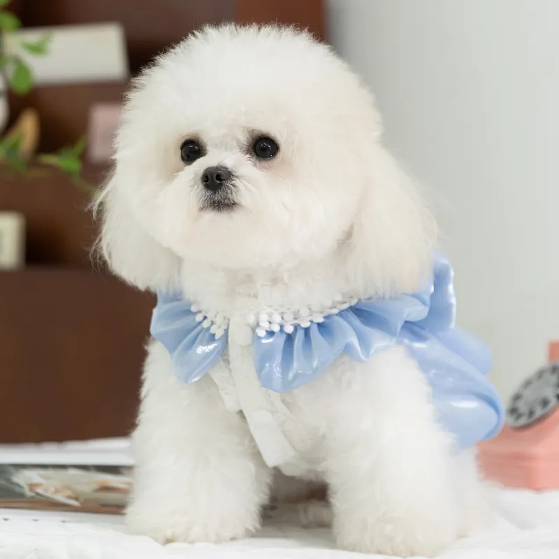 Hippie dogs Pet Clothing-2