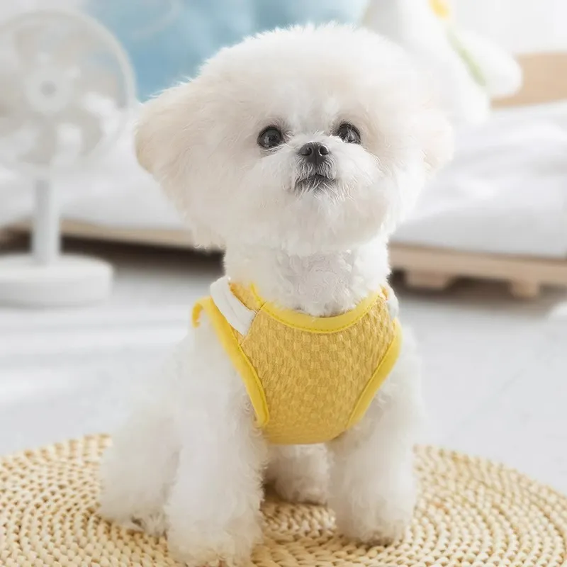 Hippie dogs Pet Clothing-2