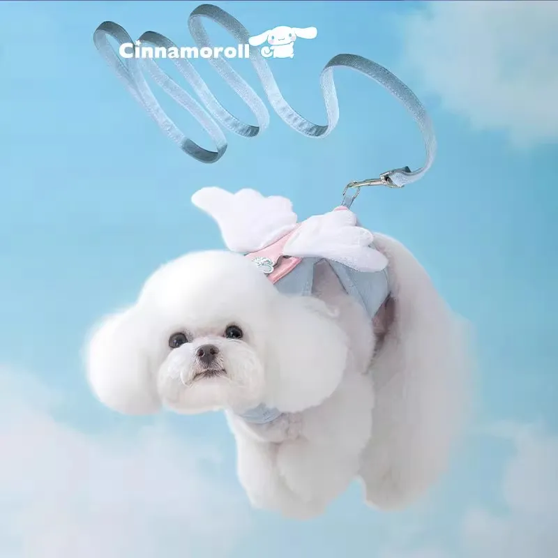 Hippie dogs Leashes-2