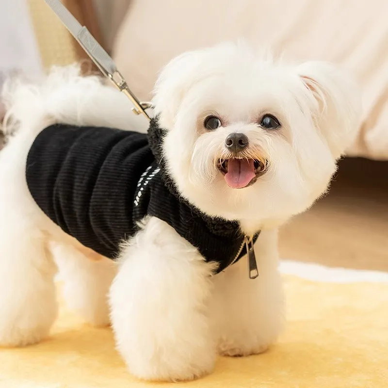 Hippie dogs Pet Clothing-3