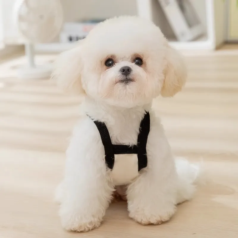 Hippie dogs Pet Clothing-2