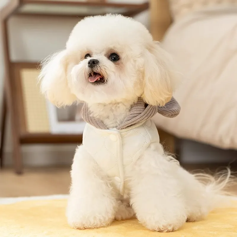 Hippie dogs Pet Clothing-2