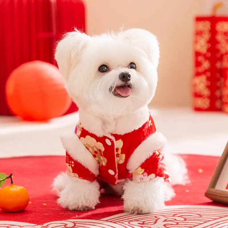 Hippie dogs Pet Clothing-3