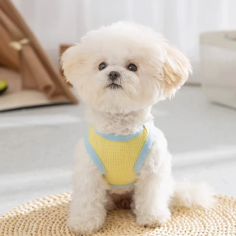 Hippie dogs Pet Clothing-2