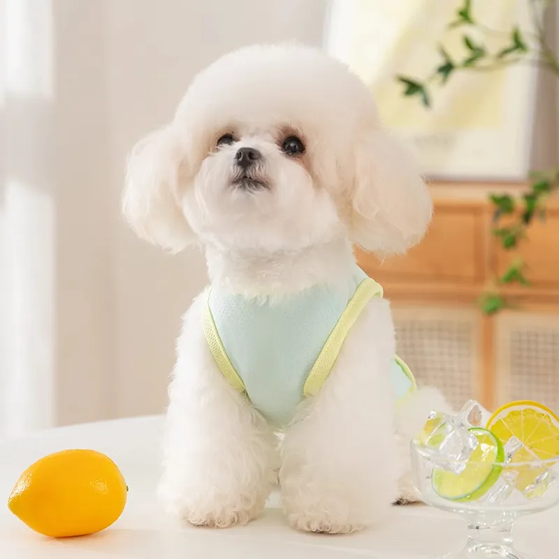 Hippie dogs Pet Clothing-3