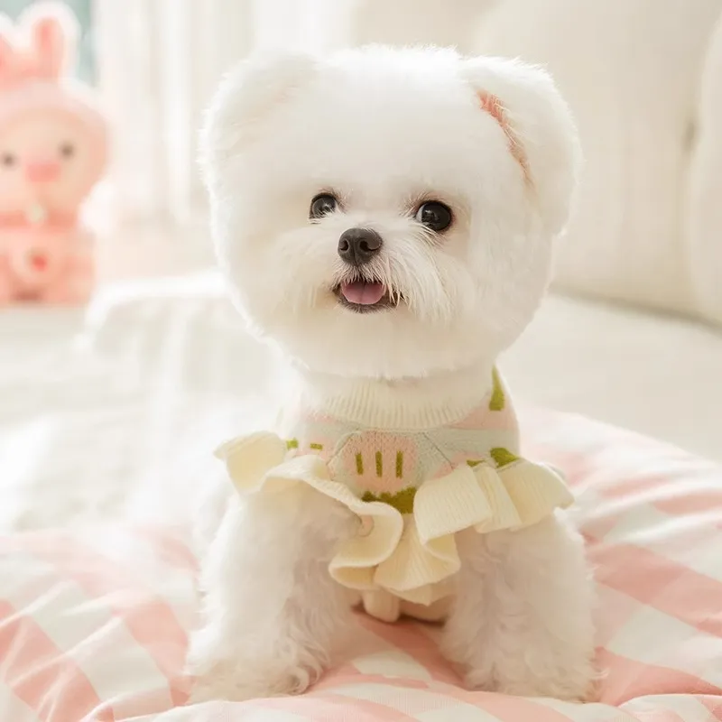 Hippie dogs Pet Clothing-2