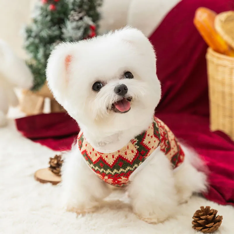 Hippie dogs Pet Clothing-2