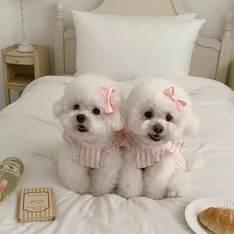 Hippie dogs Pet Clothing-2